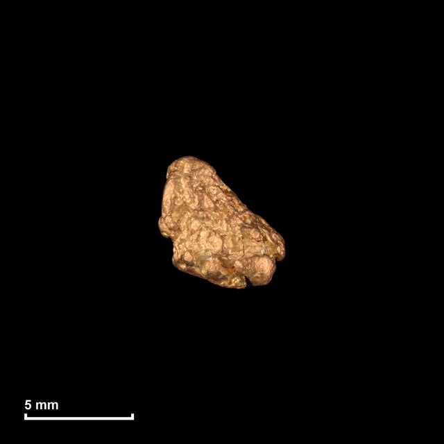 Goldnugget Nr. 26-0059 mit Maßstab: 6,0 × 5,7 mm bei 0,61 g