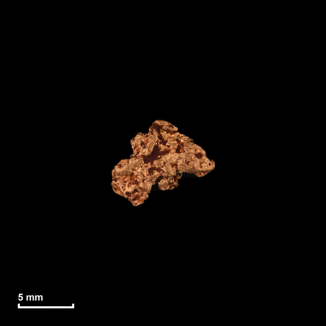 Goldnugget Nr. 26-0196 in tatsächlicher Größe – alle Nuggets im gleichen Maßstab aufgenommen