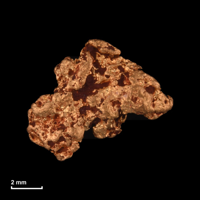 Goldnugget Nr. 26-0196 mit Maßstab: 9,3 × 7,7 mm bei 0,61 g