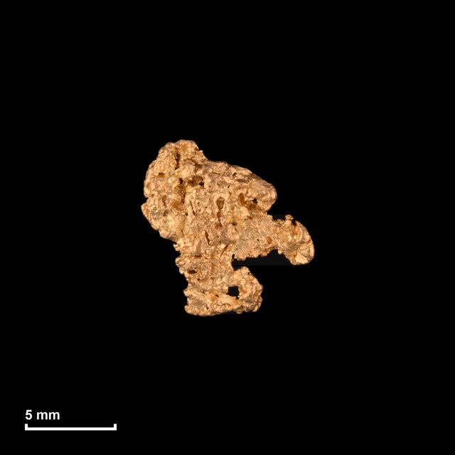 Goldnugget Nr. 26-0106 mit Maßstab: 9,5 × 9,3 mm bei 0,62 g