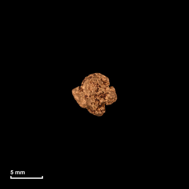 Goldnugget Nr. 26-0200 in tatsächlicher Größe – alle Nuggets im gleichen Maßstab aufgenommen