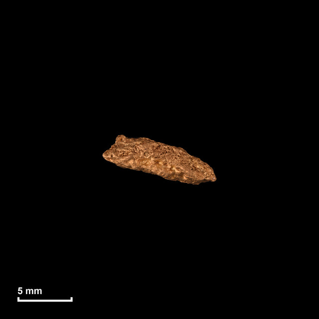 Goldnugget Nr. 26-0210 in tatsächlicher Größe – alle Nuggets im gleichen Maßstab aufgenommen
