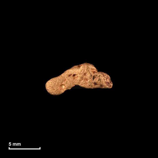 Goldnugget Nr. 26-0027 mit Maßstab: 10,3 × 5,0 mm bei 0,64 g