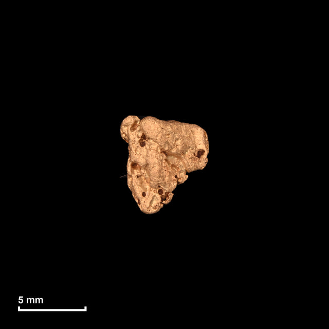 Goldnugget Nr. 26-0069 mit Maßstab: 7,2 × 6,5 mm bei 0,64 g