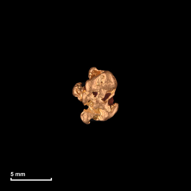 Goldnugget Nr. 26-0082 mit Maßstab: 6,9 × 5,5 mm bei 0,64 g