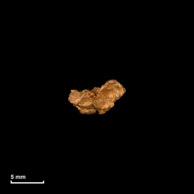 Goldnugget Nr. 26-0185 in tatsächlicher Größe – alle Nuggets im gleichen Maßstab aufgenommen