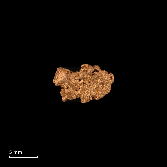 Goldnugget Nr. 26-0214 in tatsächlicher Größe – alle Nuggets im gleichen Maßstab aufgenommen