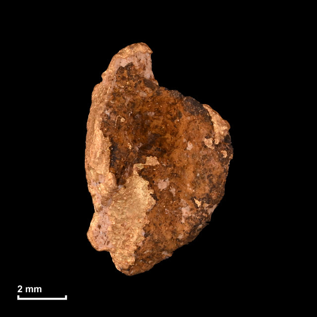 Goldnugget Nr. 26-0313 mit Maßstab: 9,4 × 6,0 mm bei 0,65 g