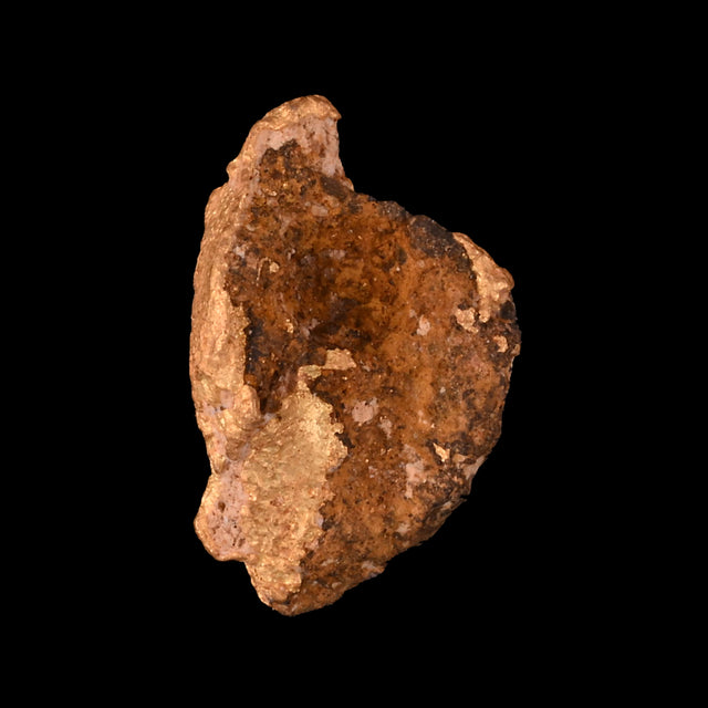 Goldnugget aus Leonora, Westaustralien, 0,65 g, Unikat Nr. 26-0313, freigestellt vor schwarzem Grund