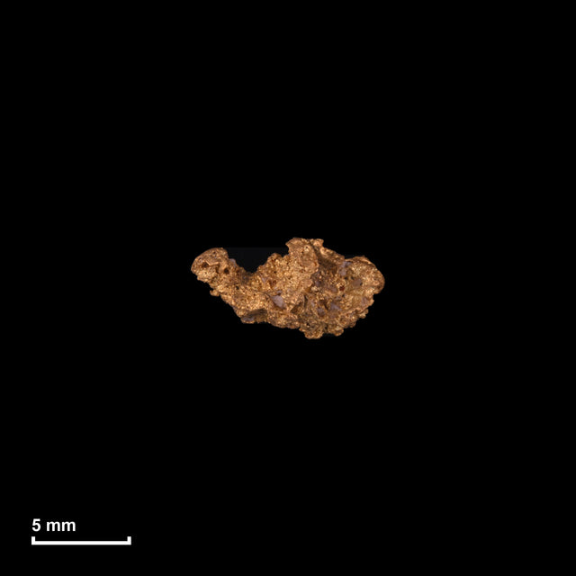 Goldnugget Nr. 26-0125 in tatsächlicher Größe – alle Nuggets im gleichen Maßstab aufgenommen