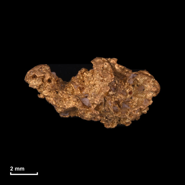 Goldnugget Nr. 26-0125 mit Maßstab: 9,8 × 5,2 mm bei 0,66 g
