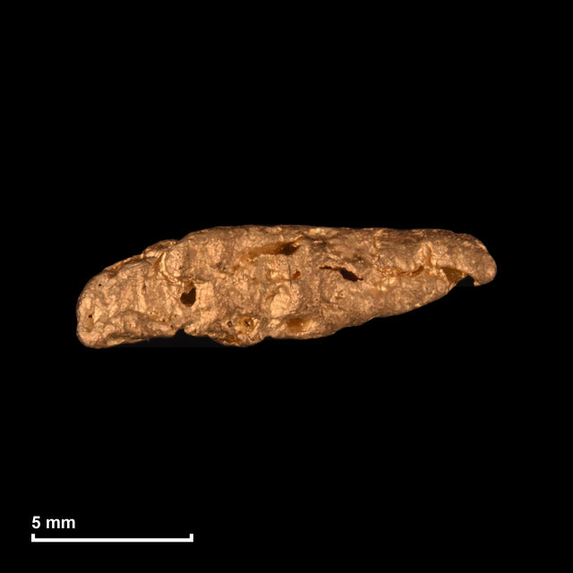 Goldnugget Nr. 26-0147 mit Maßstab: 13,0 × 3,8 mm bei 0,67 g
