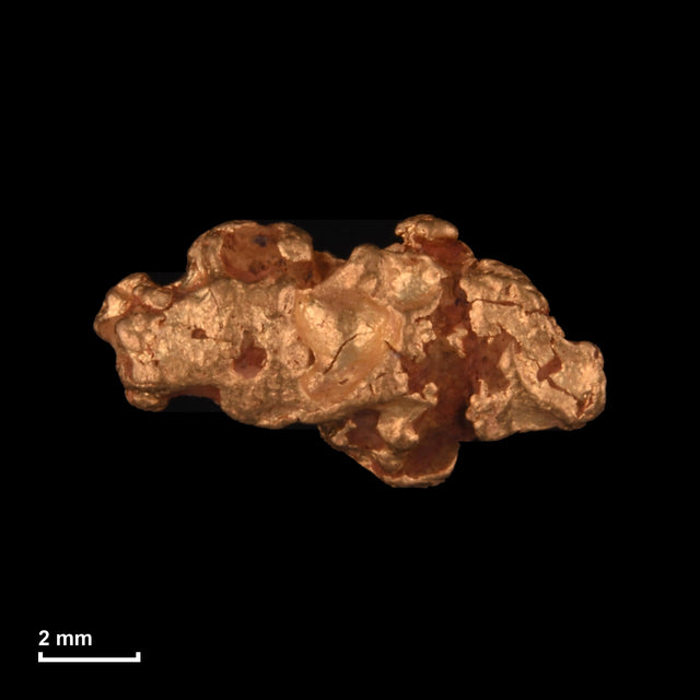 Goldnugget Nr. 26-0179 mit Maßstab: 10,1 × 5,4 mm bei 0,67 g