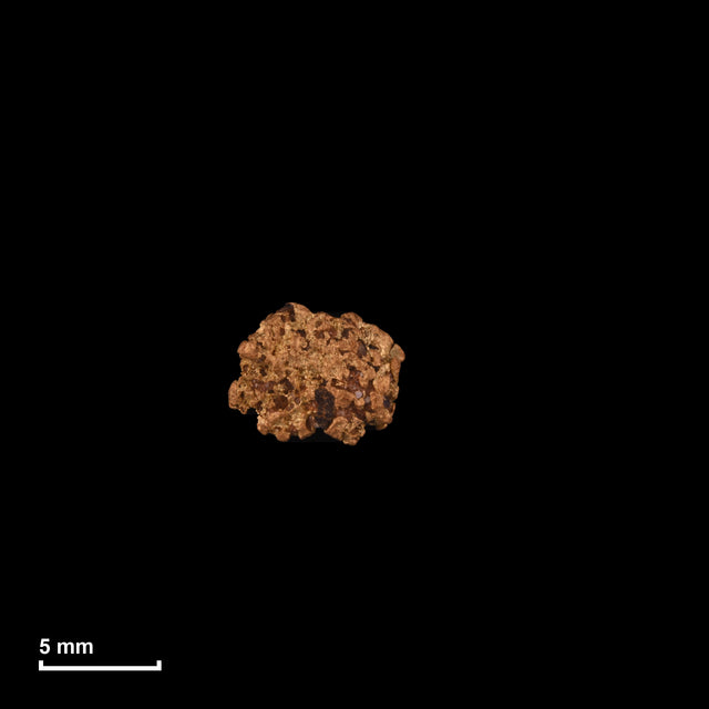 Goldnugget Nr. 26-0294 in tatsächlicher Größe – alle Nuggets im gleichen Maßstab aufgenommen