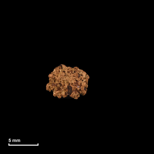 Goldnugget Nr. 26-0294 mit Maßstab: 7,3 × 5,9 mm bei 0,68 g