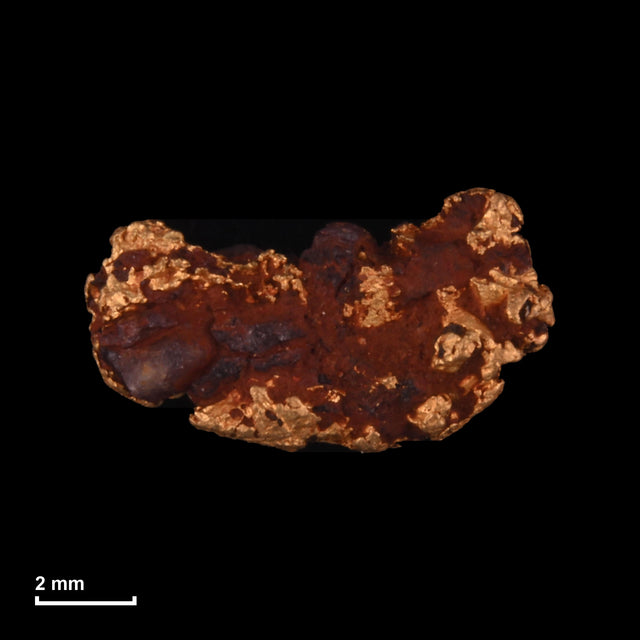 Goldnugget Nr. 26-0183 mit Maßstab: 9,3 × 5,3 mm bei 0,69 g