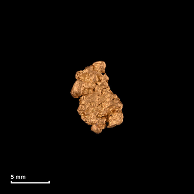 Goldnugget Nr. 26-0097 mit Maßstab: 9,2 × 6,7 mm bei 0,70 g