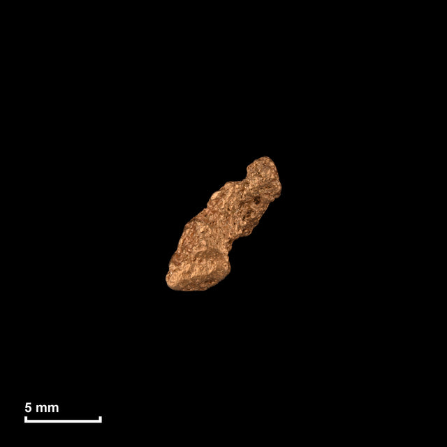 Goldnugget Nr. 26-0219 in tatsächlicher Größe – alle Nuggets im gleichen Maßstab aufgenommen