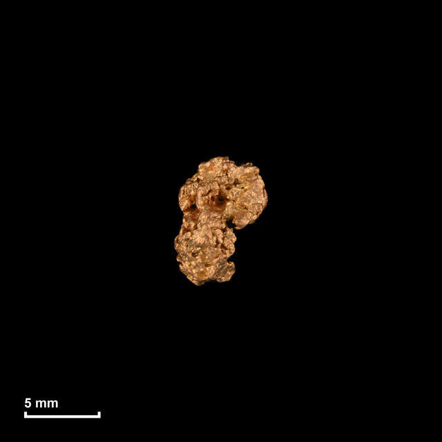 Goldnugget Nr. 26-0141 in tatsächlicher Größe – alle Nuggets im gleichen Maßstab aufgenommen