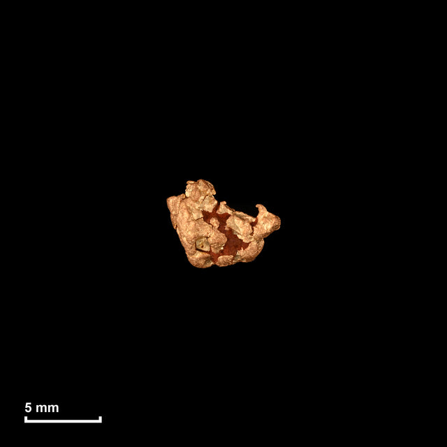 Goldnugget Nr. 26-0332 in tatsächlicher Größe – alle Nuggets im gleichen Maßstab aufgenommen