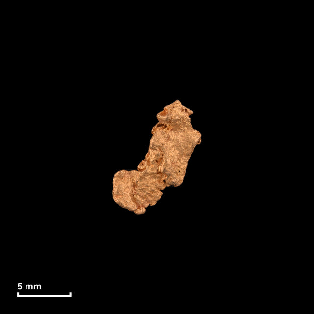 Goldnugget Nr. 26-0121 in tatsächlicher Größe – alle Nuggets im gleichen Maßstab aufgenommen