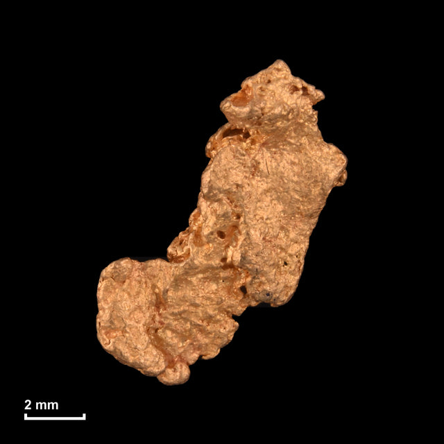 Goldnugget Nr. 26-0121 mit Maßstab: 10,7 × 8,2 mm bei 0,72 g