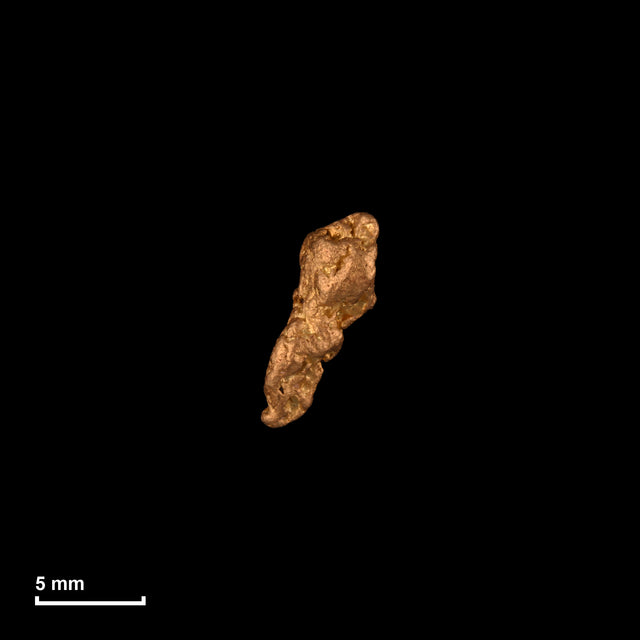 Goldnugget Nr. 26-0136 in tatsächlicher Größe – alle Nuggets im gleichen Maßstab aufgenommen