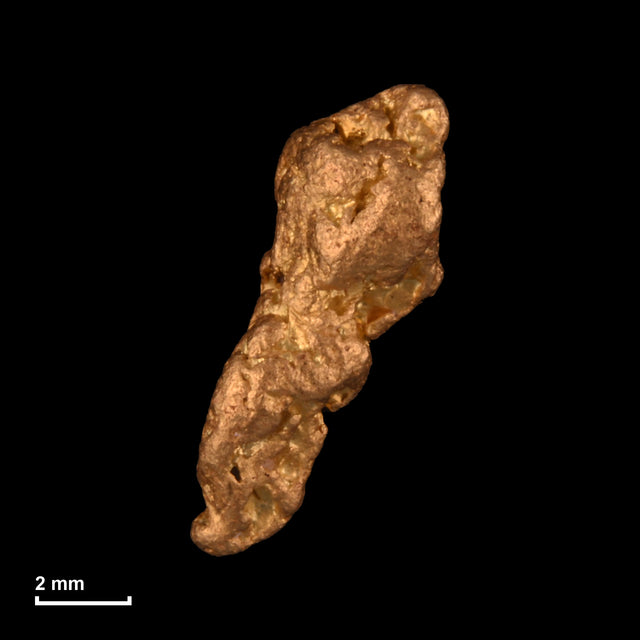 Goldnugget Nr. 26-0136 mit Maßstab: 9,8 × 5,4 mm bei 0,72 g
