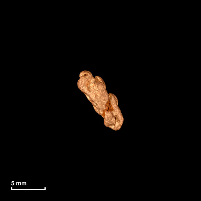 Goldnugget Nr. 26-0303 in tatsächlicher Größe – alle Nuggets im gleichen Maßstab aufgenommen