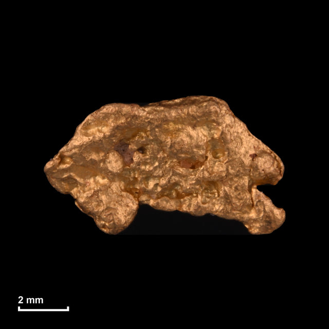 Goldnugget Nr. 26-0218 mit Maßstab: 9,5 × 5,5 mm bei 0,74 g