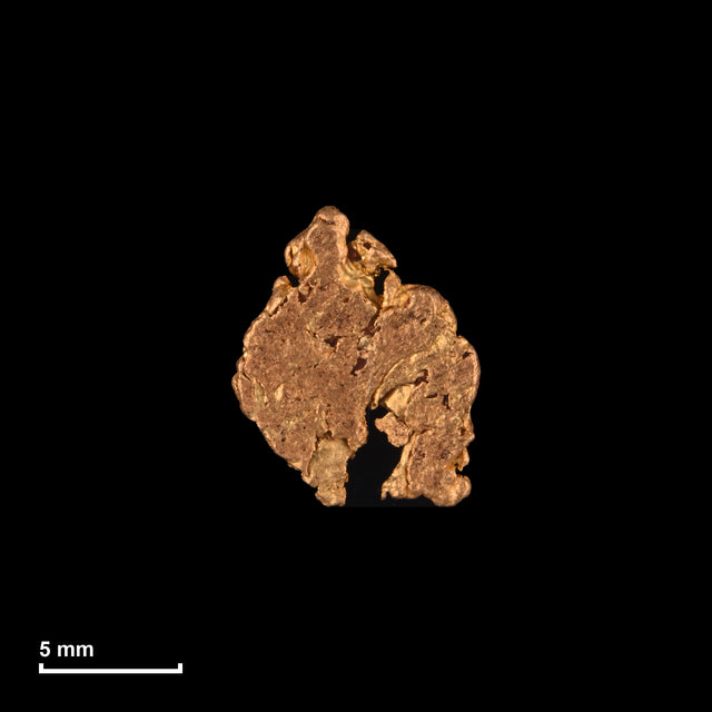 Goldnugget Nr. 26-0089 mit Maßstab: 10,4 × 8,6 mm bei 0,75 g