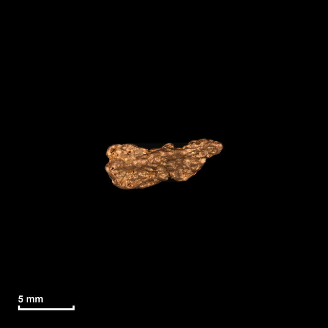 Goldnugget Nr. 26-0139 in tatsächlicher Größe – alle Nuggets im gleichen Maßstab aufgenommen