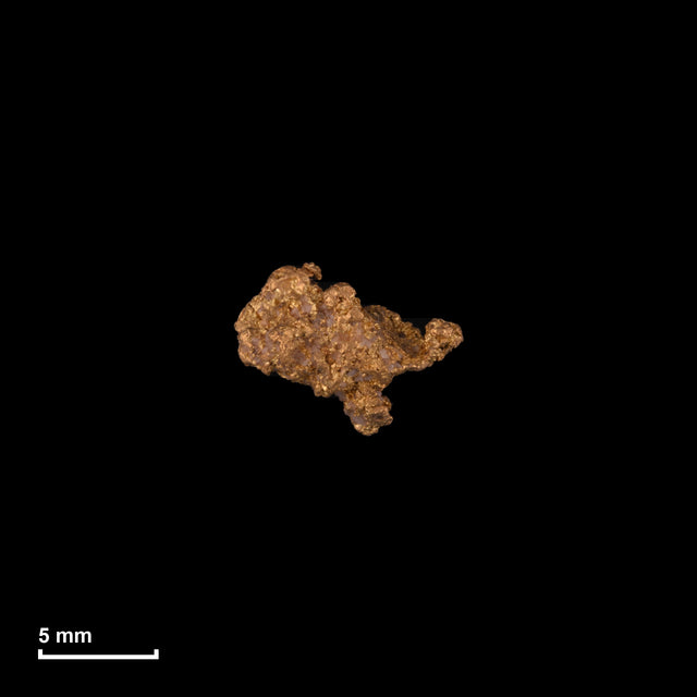 Goldnugget Nr. 26-0142 in tatsächlicher Größe – alle Nuggets im gleichen Maßstab aufgenommen