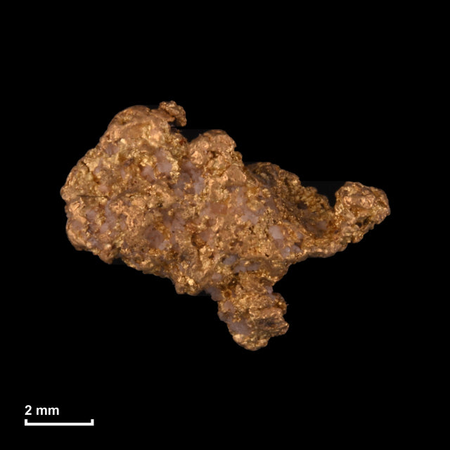Goldnugget Nr. 26-0142 mit Maßstab: 9,6 × 7,2 mm bei 0,75 g