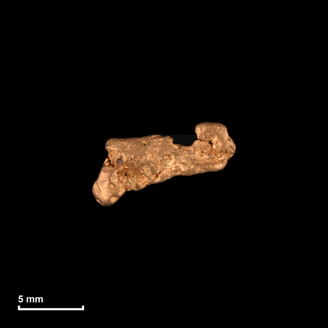 Goldnugget Nr. 26-0099 mit Maßstab: 10,8 × 6,3 mm bei 0,76 g