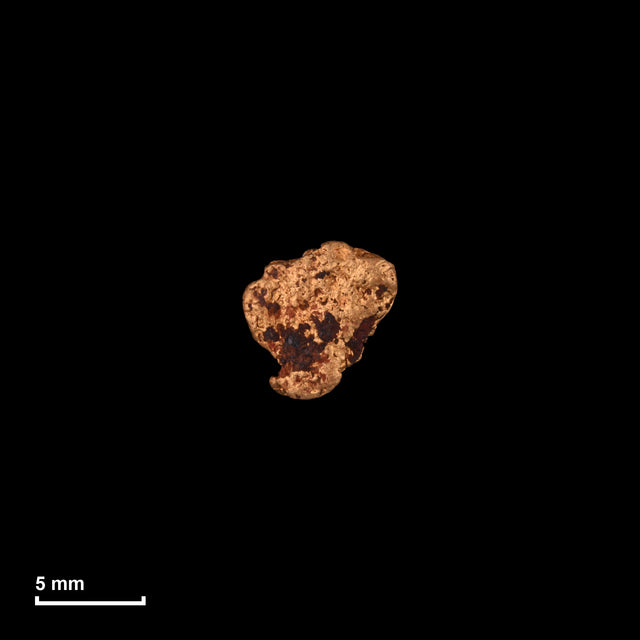 Goldnugget Nr. 26-0223 in tatsächlicher Größe – alle Nuggets im gleichen Maßstab aufgenommen