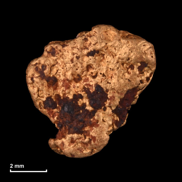 Goldnugget Nr. 26-0223 mit Maßstab: 7,2 × 7,0 mm bei 0,76 g