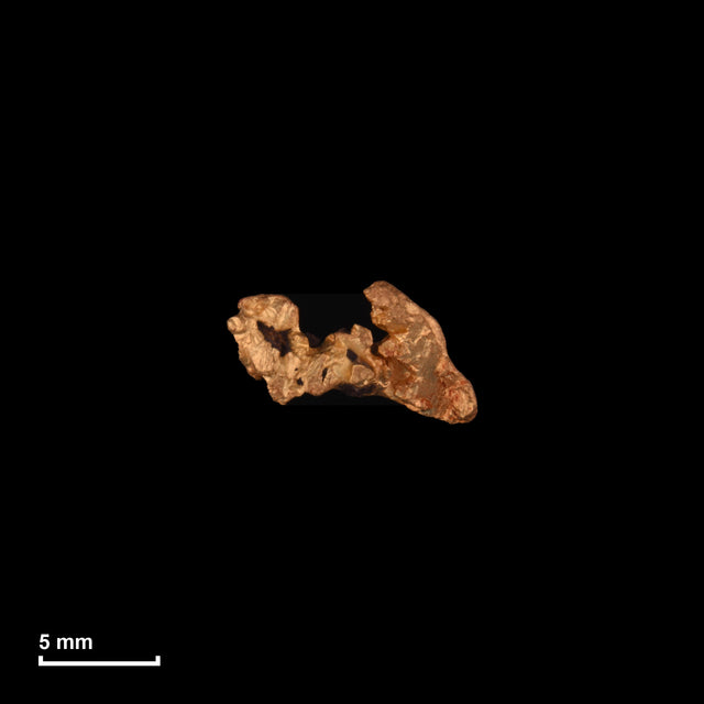 Goldnugget Nr. 26-0171 in tatsächlicher Größe – alle Nuggets im gleichen Maßstab aufgenommen