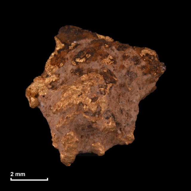 Goldnugget Nr. 26-0300 mit Maßstab: 7,5 × 7,5 mm bei 0,77 g