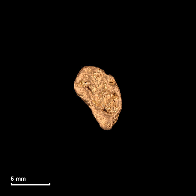 Goldnugget Nr. 26-0098 mit Maßstab: 8,1 × 6,1 mm bei 0,78 g