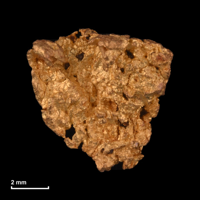 Goldnugget Nr. 26-0202 mit Maßstab: 7,7 × 7,5 mm bei 0,78 g