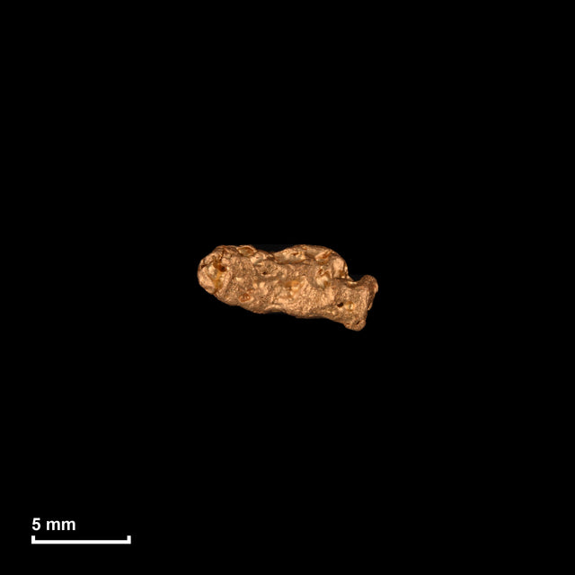 Goldnugget Nr. 26-0212 in tatsächlicher Größe – alle Nuggets im gleichen Maßstab aufgenommen