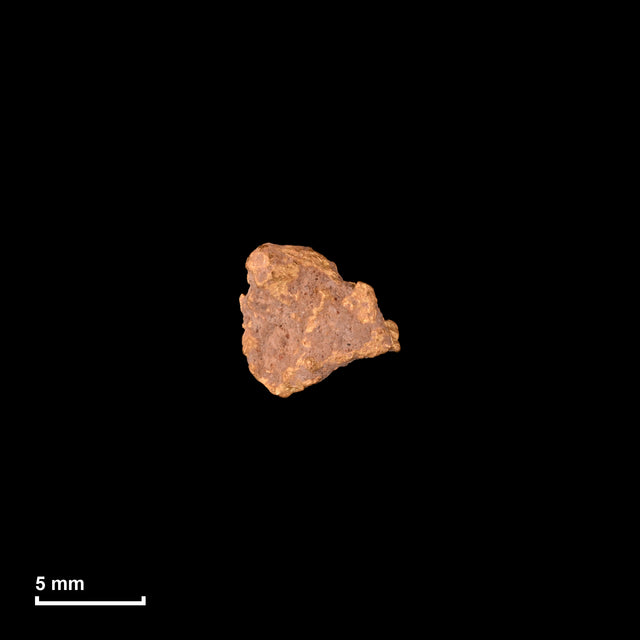 Goldnugget Nr. 26-0334 in tatsächlicher Größe – alle Nuggets im gleichen Maßstab aufgenommen