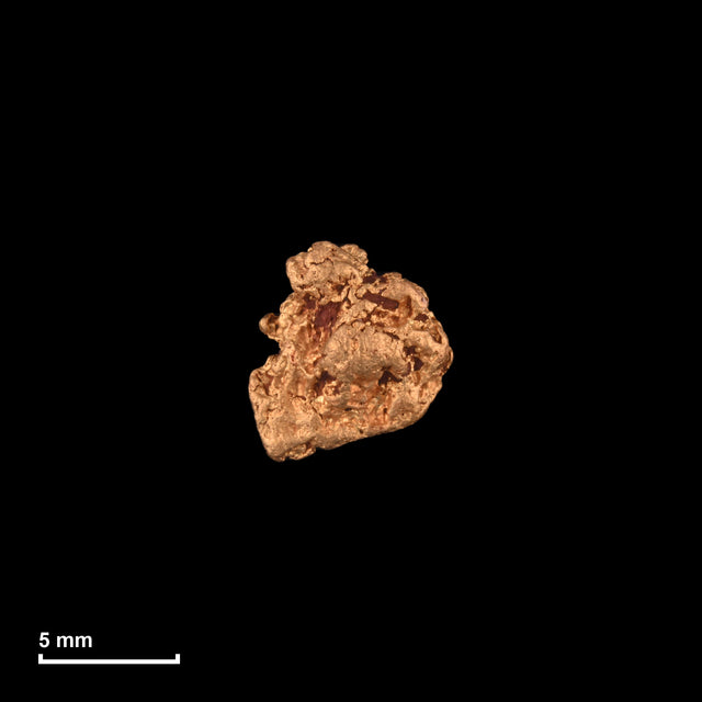 Goldnugget Nr. 26-0026 mit Maßstab: 7,7 × 7,1 mm bei 0,79 g