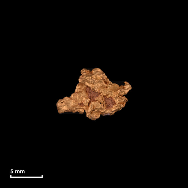 Goldnugget Nr. 26-0165 in tatsächlicher Größe – alle Nuggets im gleichen Maßstab aufgenommen