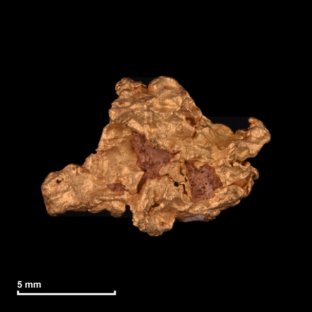Goldnugget Nr. 26-0165 mit Maßstab: 11,6 × 8,1 mm bei 0,79 g