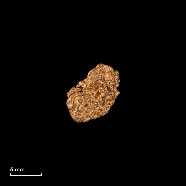 Goldnugget Nr. 26-0133 in tatsächlicher Größe – alle Nuggets im gleichen Maßstab aufgenommen