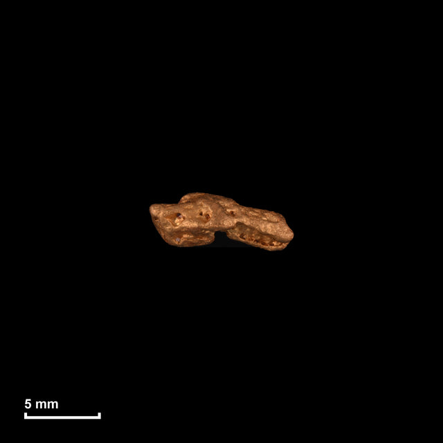 Goldnugget Nr. 26-0224 in tatsächlicher Größe – alle Nuggets im gleichen Maßstab aufgenommen