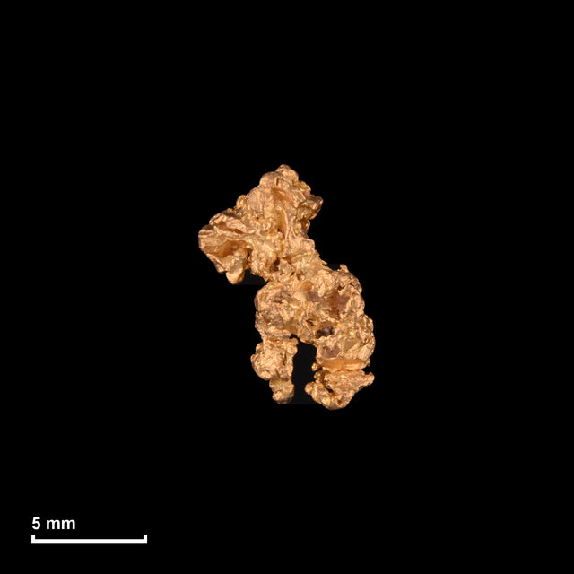 Goldnugget Nr. 26-0102 mit Maßstab: 10,6 × 7,6 mm bei 0,81 g