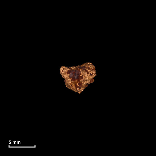 Goldnugget Nr. 26-0187 in tatsächlicher Größe – alle Nuggets im gleichen Maßstab aufgenommen